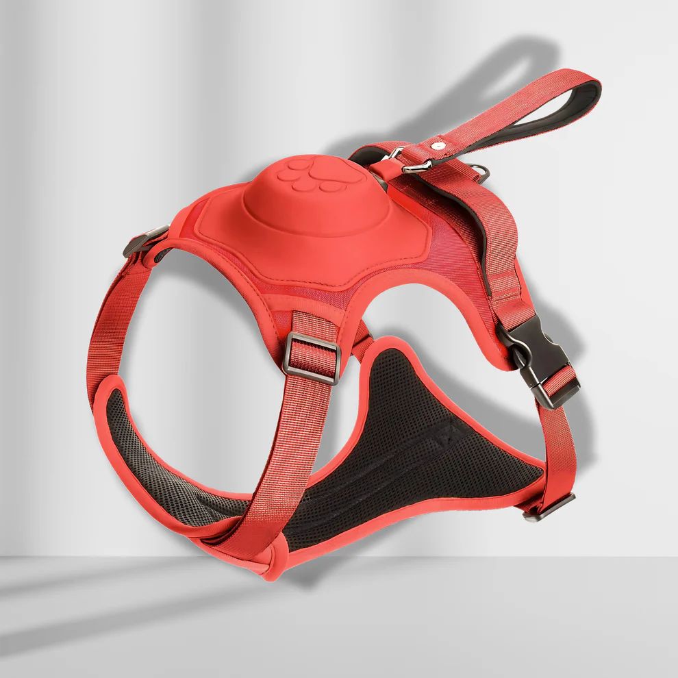 FlexiPaw | Collare retrattile